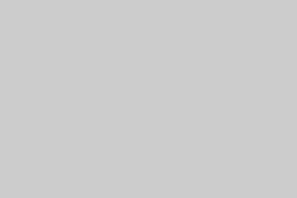 bigbyte.cc Corp.